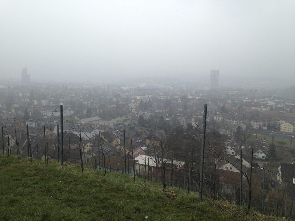  Foto zu Fotogalerie: Auch Winterthur – Fam. Baumgartner, Winterthur 